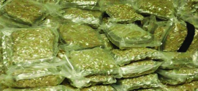 Cannabis worth Rs 3 lakh seized; Both arrested