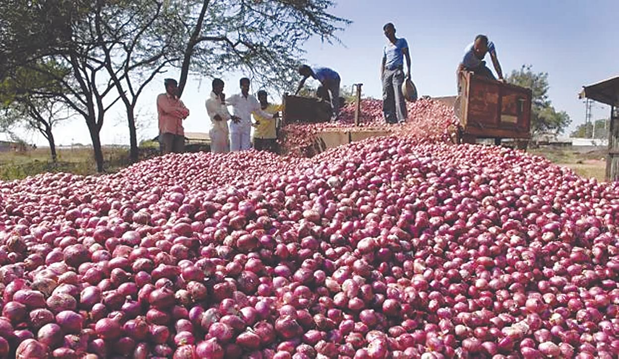 कांद्याने शेतकऱ्यांना पुन्हा रडवले, सरकारचं १३ वं घालावं का ? राजू शेट्टींची टीका