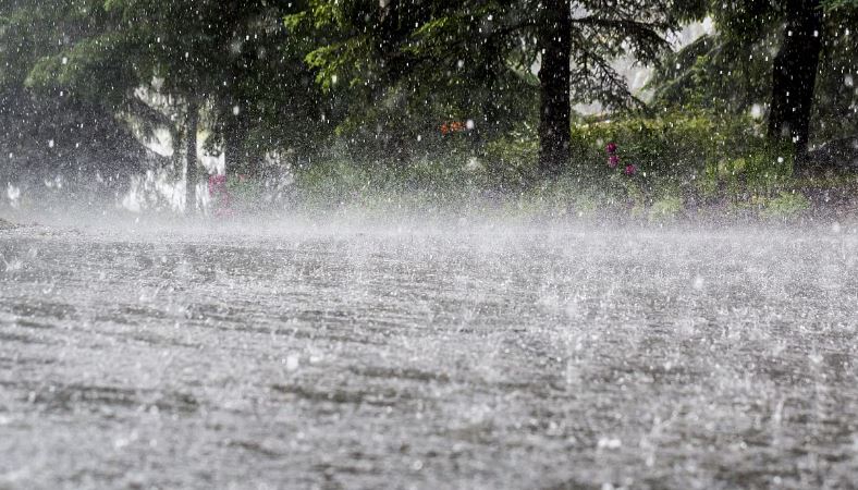 Chance of rain again in the state! Orange alert to four districts