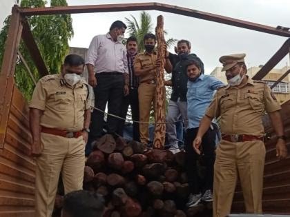 Wakad police seized six and a half tonnes of sandalwood; Property worth Rs 6.52 crore seized