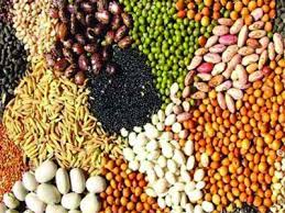 Seeds worth Rs 4 crore seized in Yavatmal