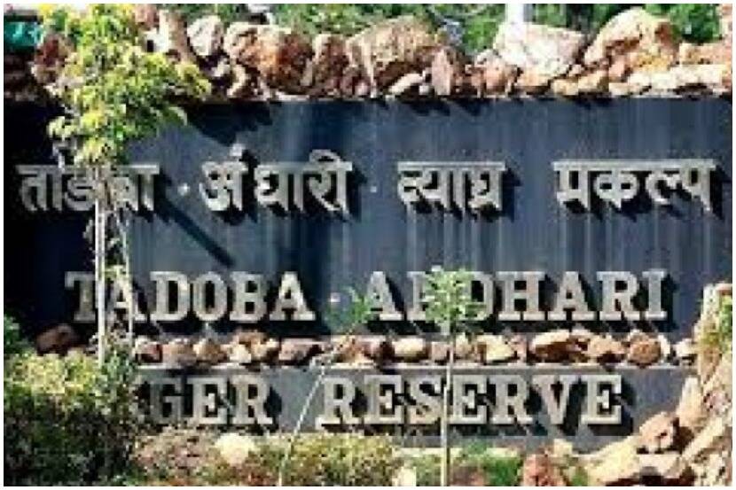 Notice to Government regarding rehabilitation of Tadoba project residents