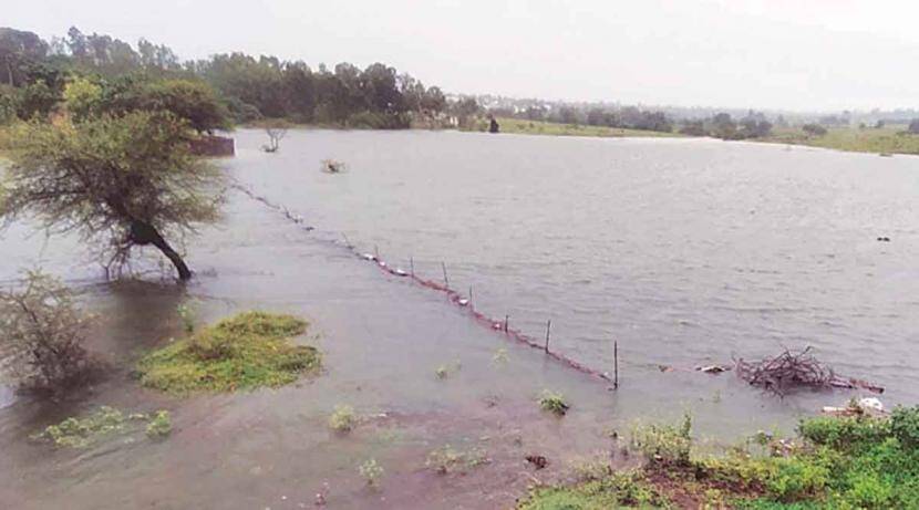 Heavy rains lashed the Ghats of Sangli district