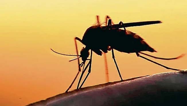 The first case of Zika was found in Pune district