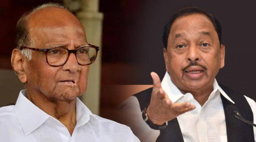 Rane's reaction to Sharad Pawar's criticism of Congress; Said, "What is this type of ideal?"