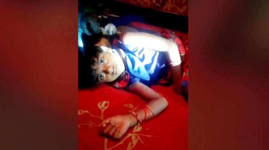 Chimukali from Wardha, who was bitten by a poisonous snake, finally survived; The snake was around his neck for two hours