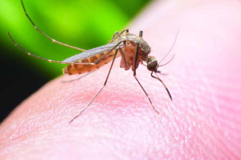 Worrying! Dengue kills 22 in state
