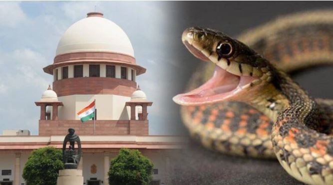 New trend of killing by snake bite- Supreme Court