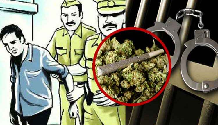 Anti-drug squad seized 30 kg of cannabis at Bhujbal Chowk