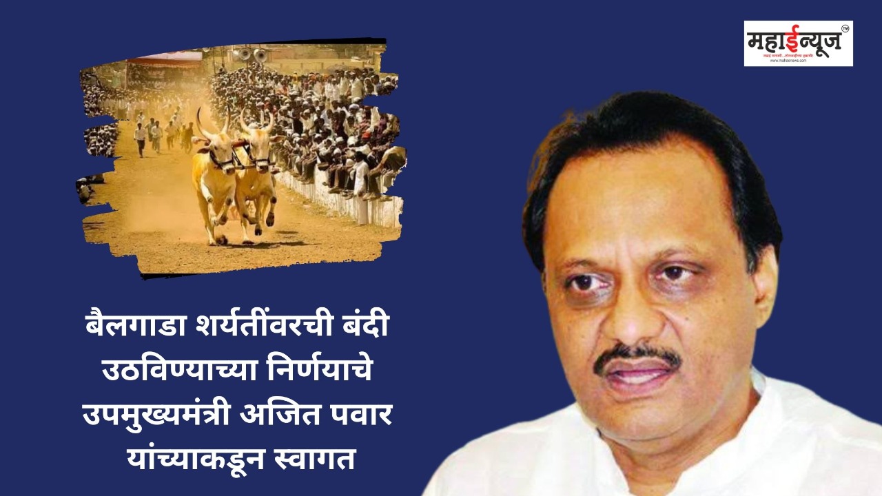 Deputy Chief Minister Ajit Pawar welcomes the decision to lift the ban on bullock cart races