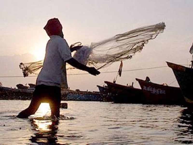 Fishermen allowed to fish in Thane Bay