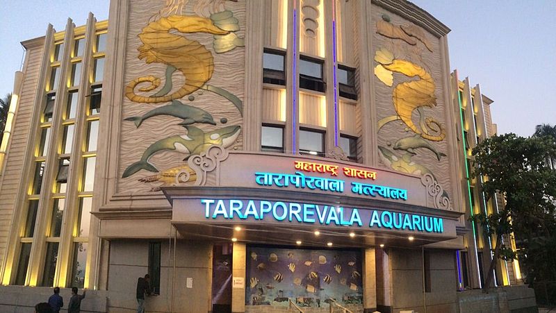 The future of Taraporewala aquarium is in the dark; Government should decide!