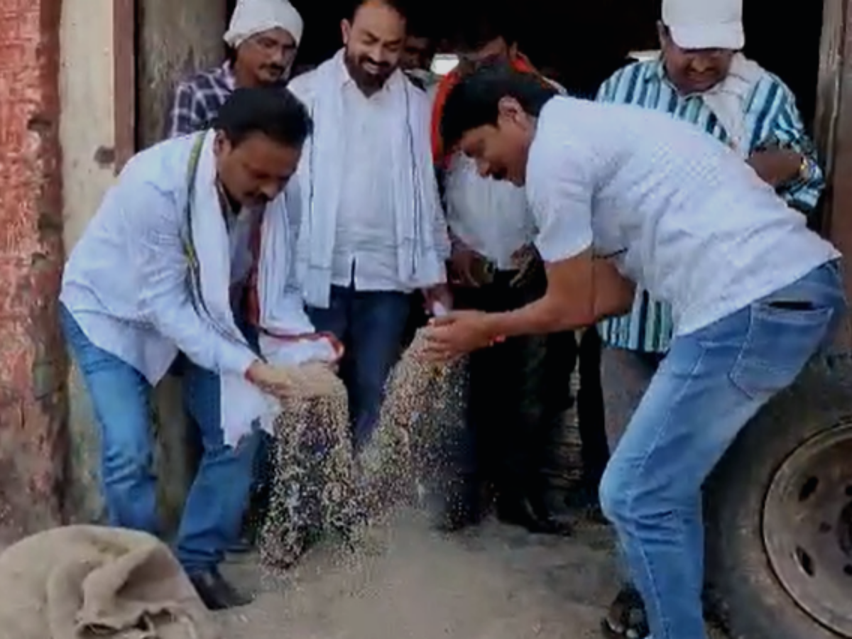 Inferior grain scam in Muktainagar government warehouse; Rotten sorghum for distribution to citizens