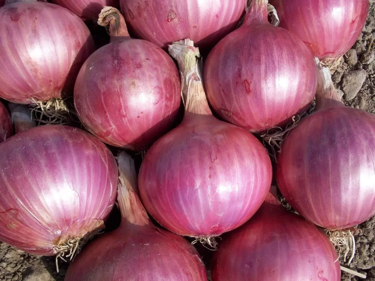 The price of onion was only Rs. 1 per kg