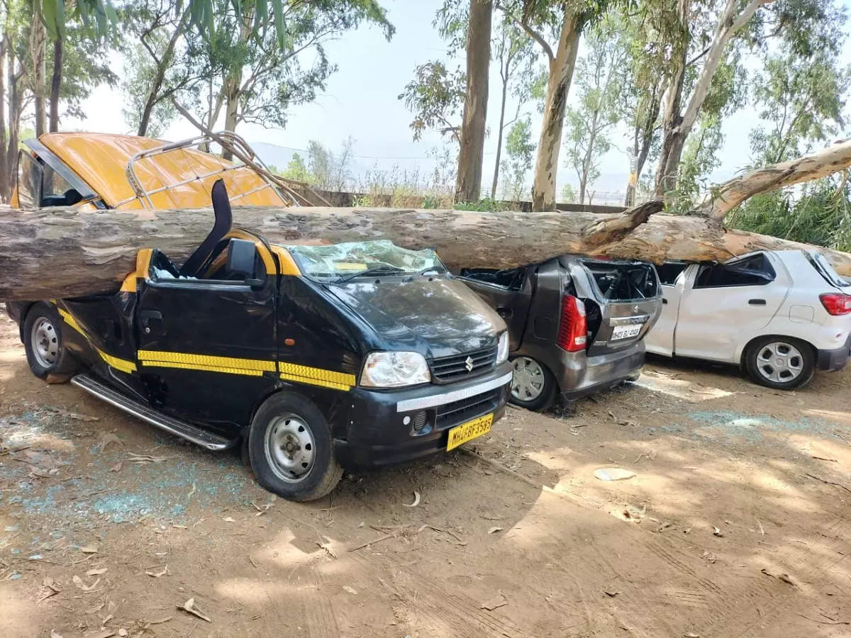 एकविरा देवीच्या पायथ्याशी मोठी दुर्घटना; झाड कोसळल्याने तीन वाहनांचा चुराडा