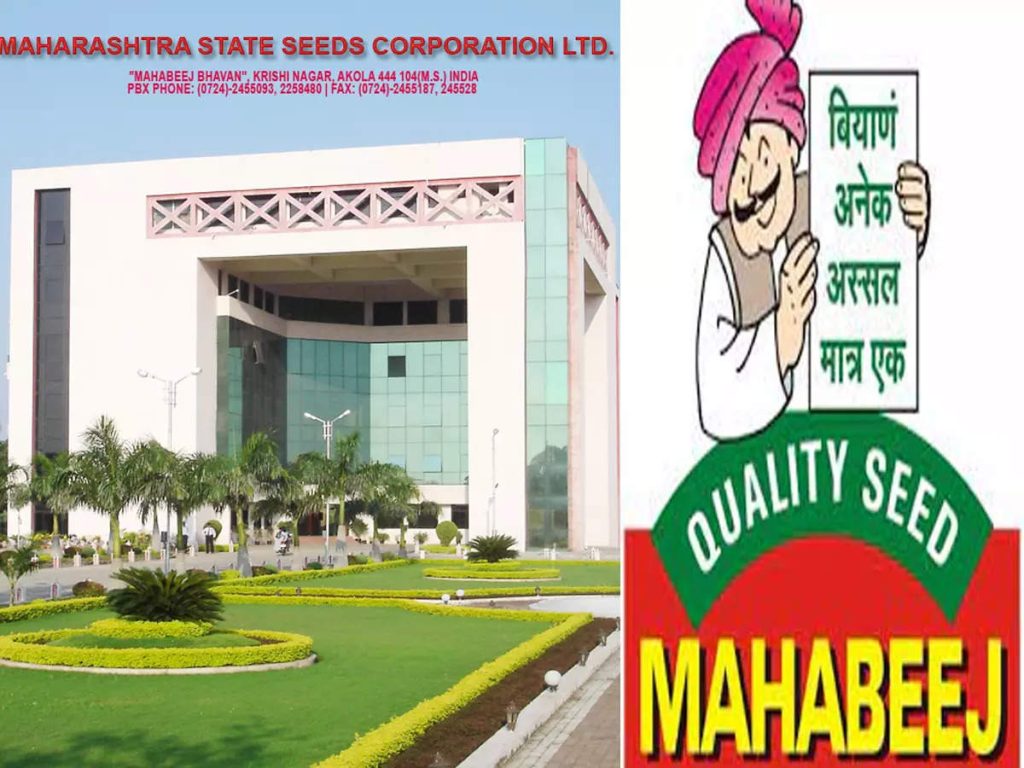 Mahabeej seeds cost farmers dearly;  Soybean prices double