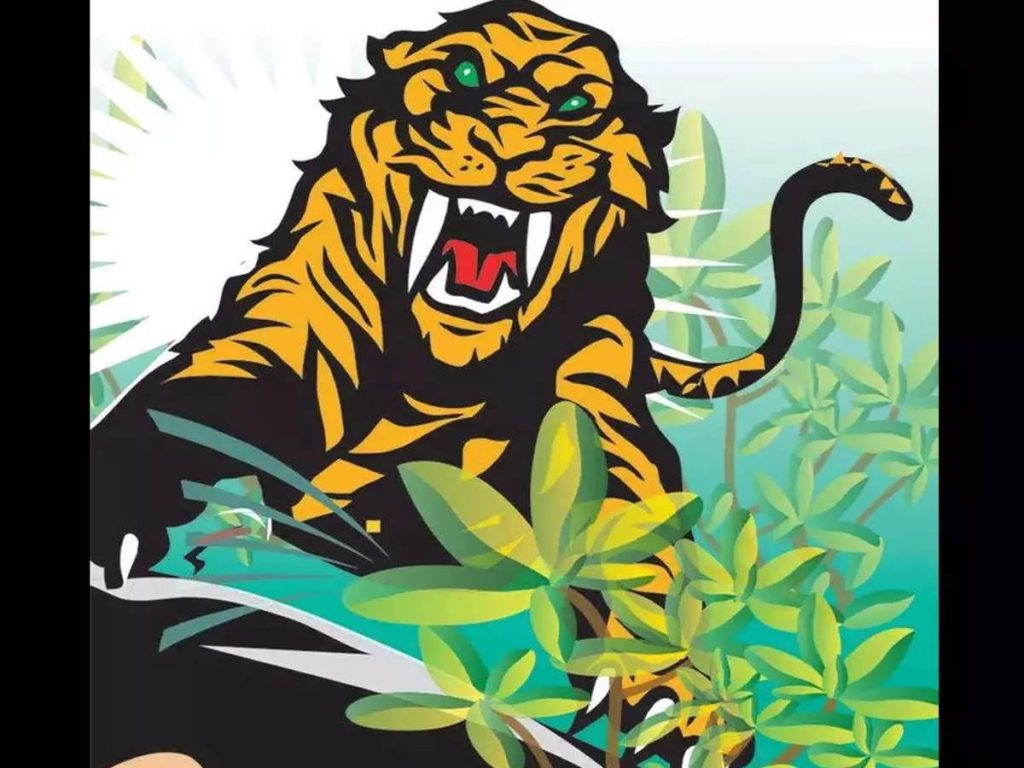 Unlucky  Tiger attack on husband and wife;  Wife's body found, husband missing