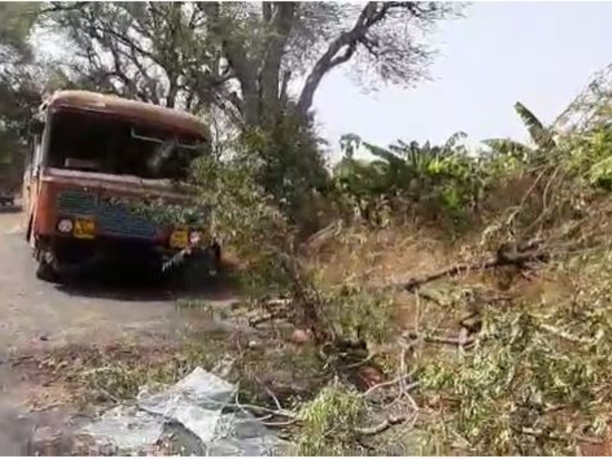 Jalgaon: धावत्या बसवर भलामोठा वृक्ष कोसळला, 12 प्रवासी जखमी
