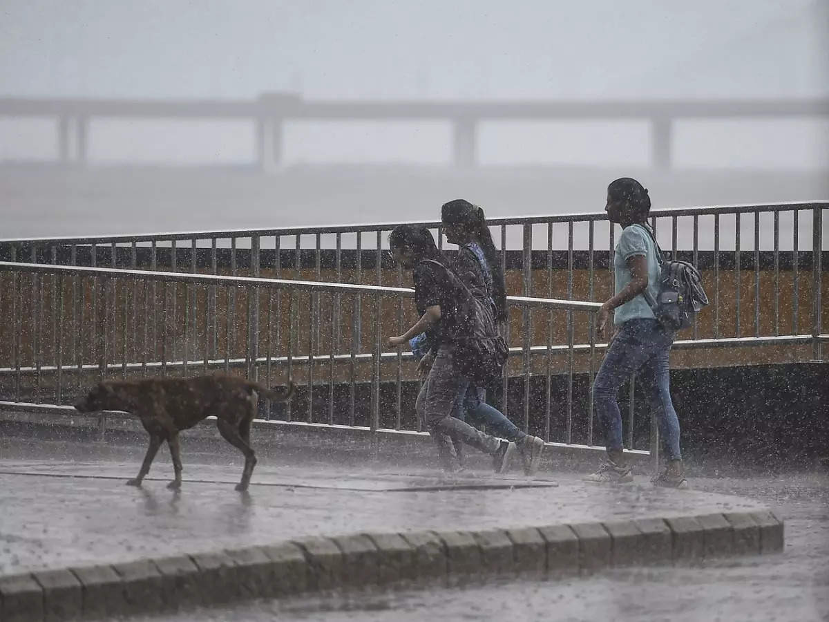 Monsoon Update : राज्यात दमदार पावसाला सुरुवात, मुंबईसह 'या' भागांत वरुणराजा बरसला