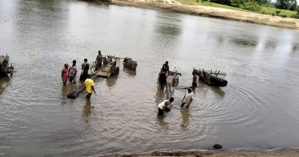 Aarara dangerous! 18 wooden logs were floating in the rivers, the officials were confused as they investigated