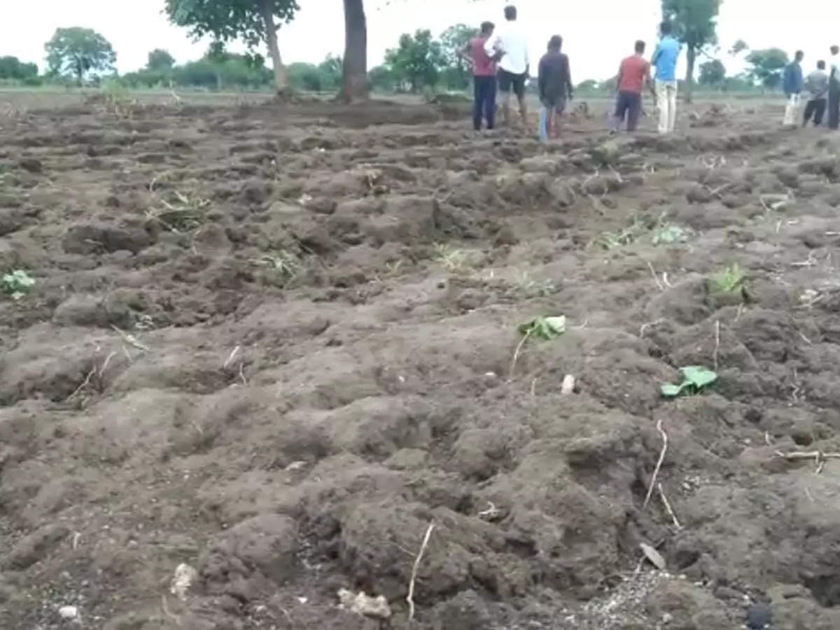 Cloudburst in Savarkhed village in Morshi taluka; Tears in the eyes of the farmers seeing the washed away land