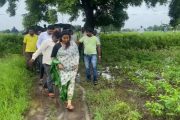 परभणीत ढगफुटी सदृश्य पाऊस, भाजप महिला आमदार चिखल तुडवत शेतकऱ्याच्या बांधावर