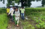 परभणीत ढगफुटी सदृश्य पाऊस, भाजप महिला आमदार चिखल तुडवत शेतकऱ्याच्या बांधावर