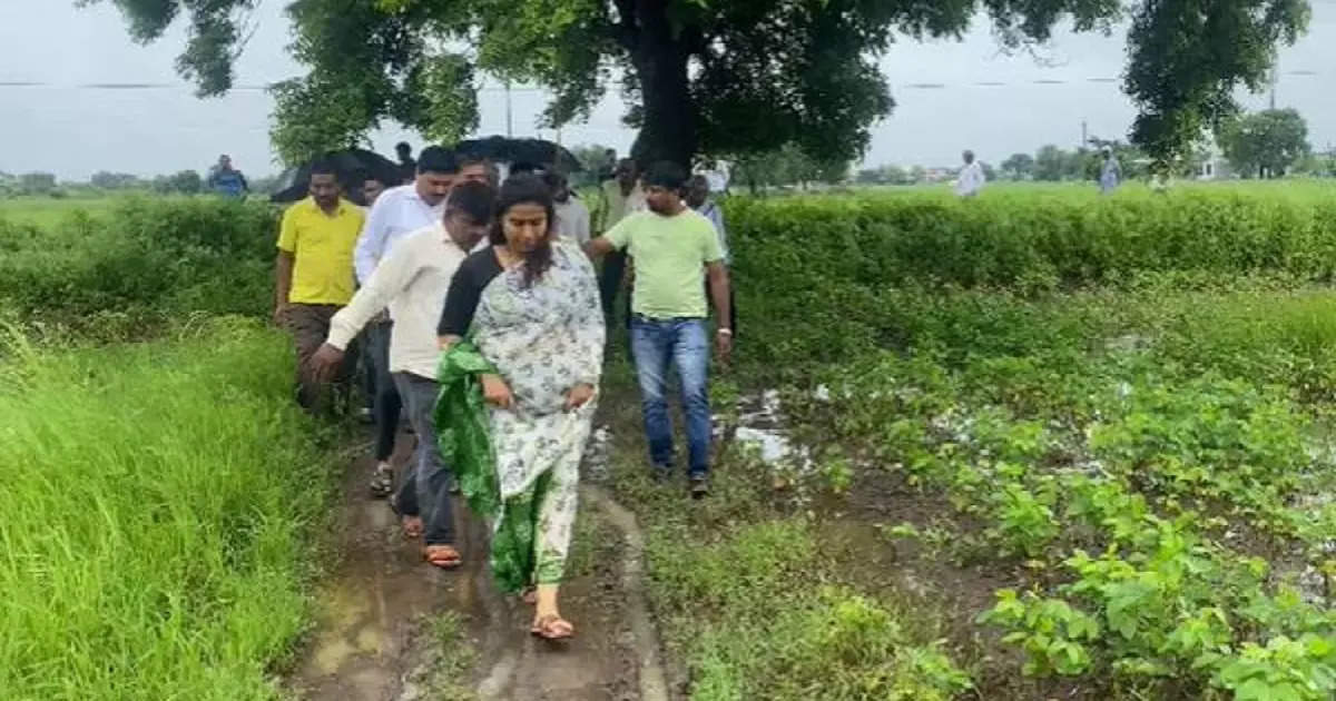 Cloudburst-like rain in Parbhani, BJP women MLA trampling mud on farmer's embankment