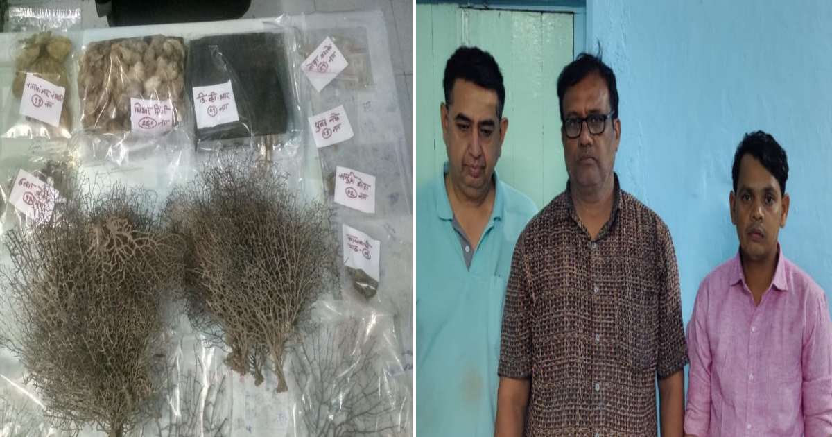 Jalgaon: On Tuesday a team of forest department raided a shop selling herbs and medicines; In the process, something came out from the shop that...