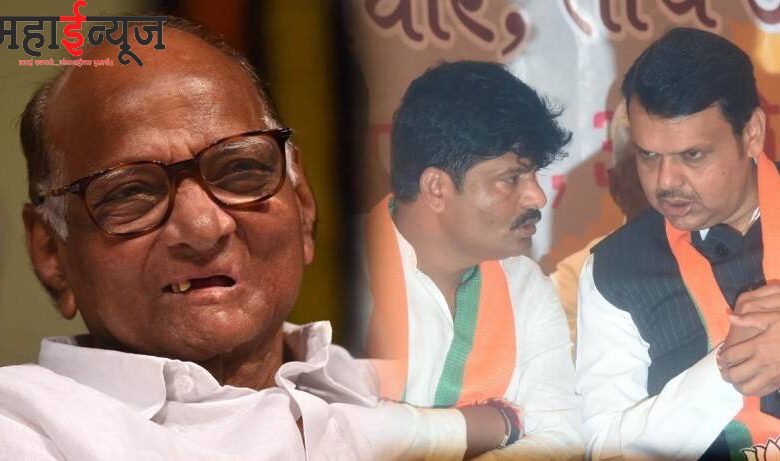 NCP's reply to Padalkar who said 'Pawar could not elect three digit MLAs'