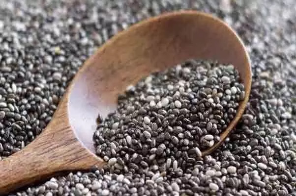 Health Tips : Know the benefits of chia seeds; make bones strong, lower cholesterol...!