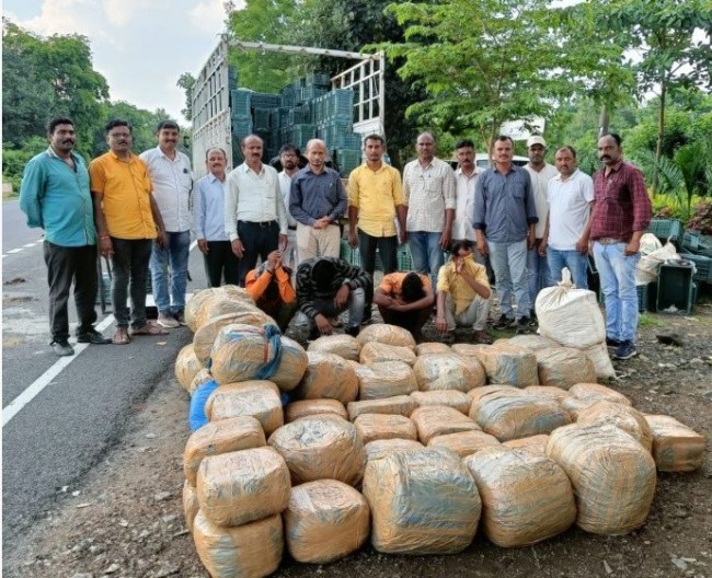 Trafficking of ganja from Andhra Pradesh via Pandharkavada – Yavatmal – Babhulgaon; Chandur Railway seizes 435 kg of ganja