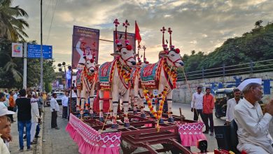 Bull Pola festival in the spirit of traditional procession in Pune
