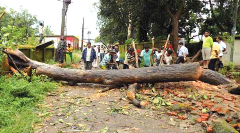 28 deaths in monsoon accidents; 102 injured in four months, increase in tree falls