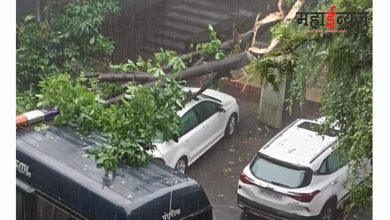 Heavy rain in Pune, trees fell in many areas, traffic jam