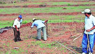 Pending Land Surveys in the State; Six more months to settle?