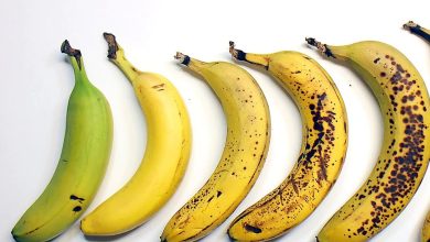 How safe to eat dagi banana, what is the right time to eat? Learn many things you didn't know