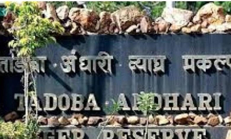Tadoba Bhawan will be constructed at Tadoba-Andhari Tiger Reserve