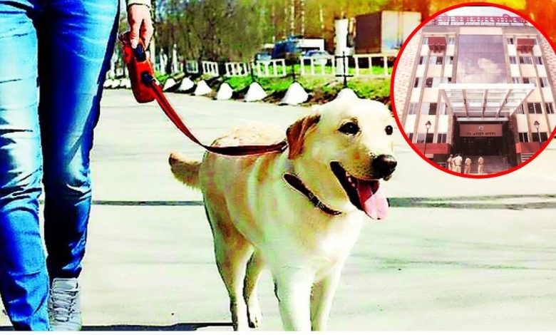 A fine of Rs 500 will be imposed on the owner if the dog fouls in public
