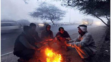 Increase in the severity of winter in the state