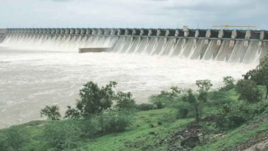 Dams in the state are overflowing; Due to prolonged rains, water storage is at a record high