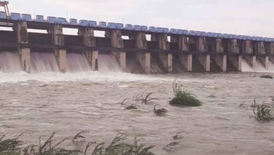 Due to delay in monsoon rains, new dam reservoir circulation plan