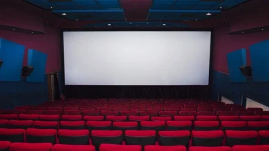 ...So single screen theaters should be closed, demand of theater owners