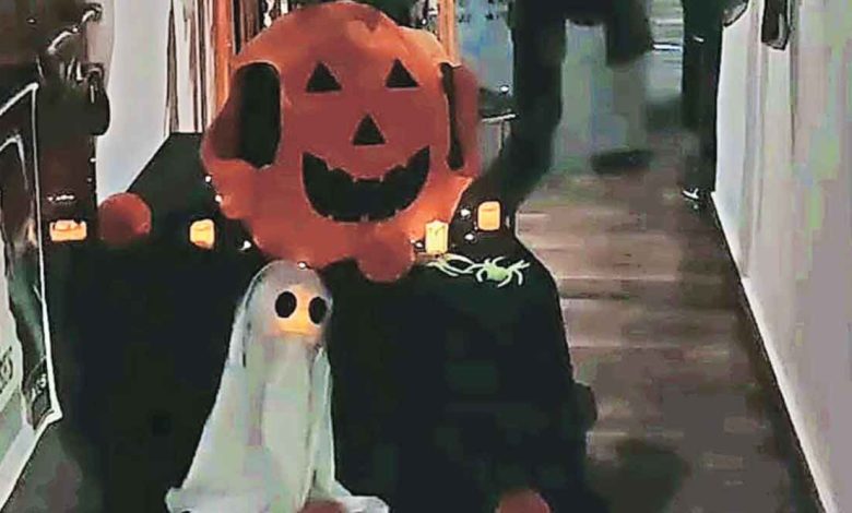 The excitement of 'Halloween' this year in hotels, residential complexes, schools and offices