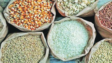 India's share in cereal exports is 10 percent