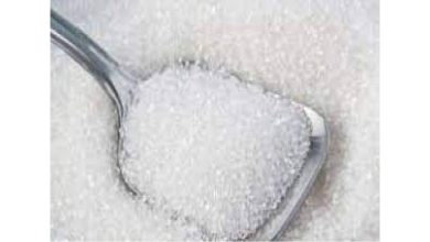 Impact of sugar export ban