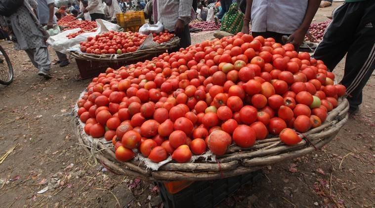 The price of tomato is lower than the cost of production