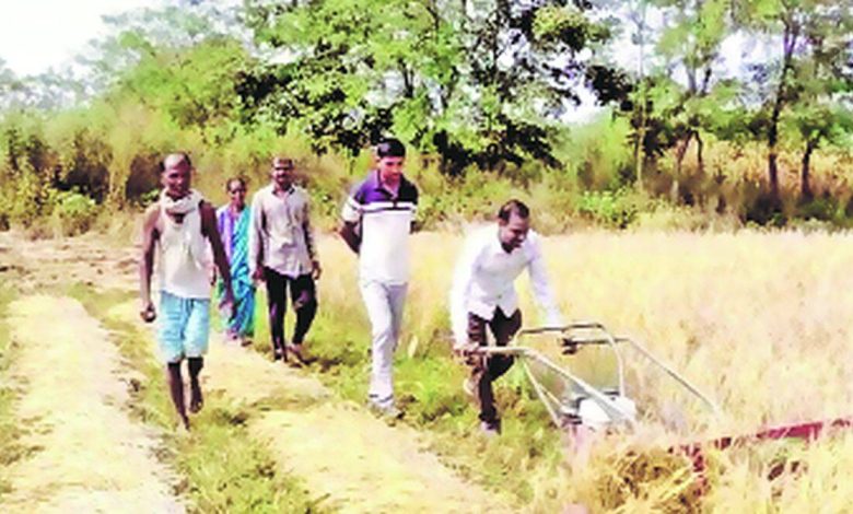 Costly paddy cultivation affordable, increase in income