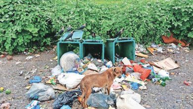 New criteria regarding wet waste has been included in Swachh Survekshan from this year