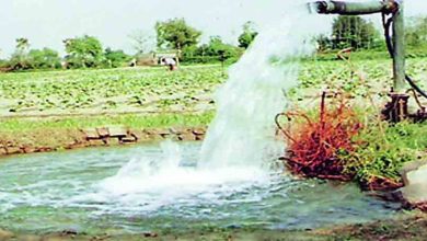 800 crore works of 'MNREGA' in three years; Promotion of water conservation to overcome drought